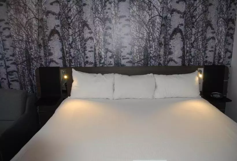 キングサイズベッドのスタンダードルーム, Doubletree By Hilton Ottawa Downtown