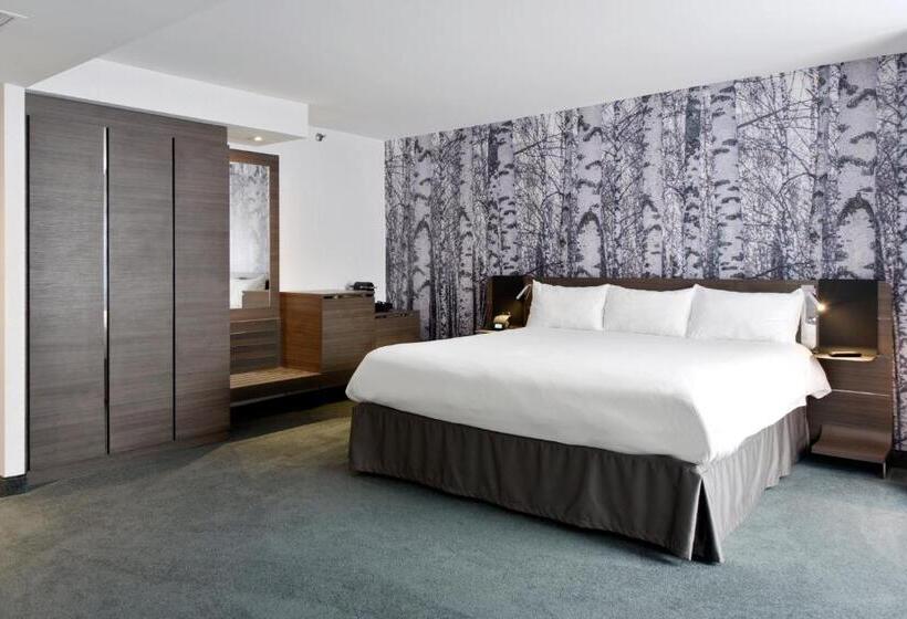 キングサイズベッドのスタンダードルーム, Doubletree By Hilton Ottawa Downtown