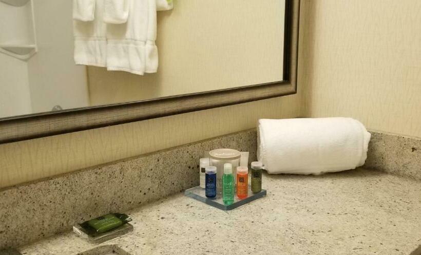 غرفه قياسيه سريرين مزدوجين, Radisson Hotel Sudbury