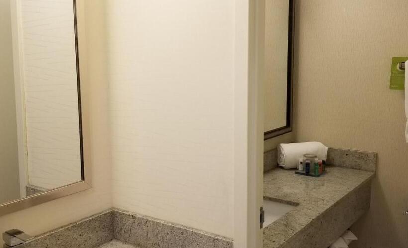 غرفة قياسية سرير كينج, Radisson Hotel Sudbury