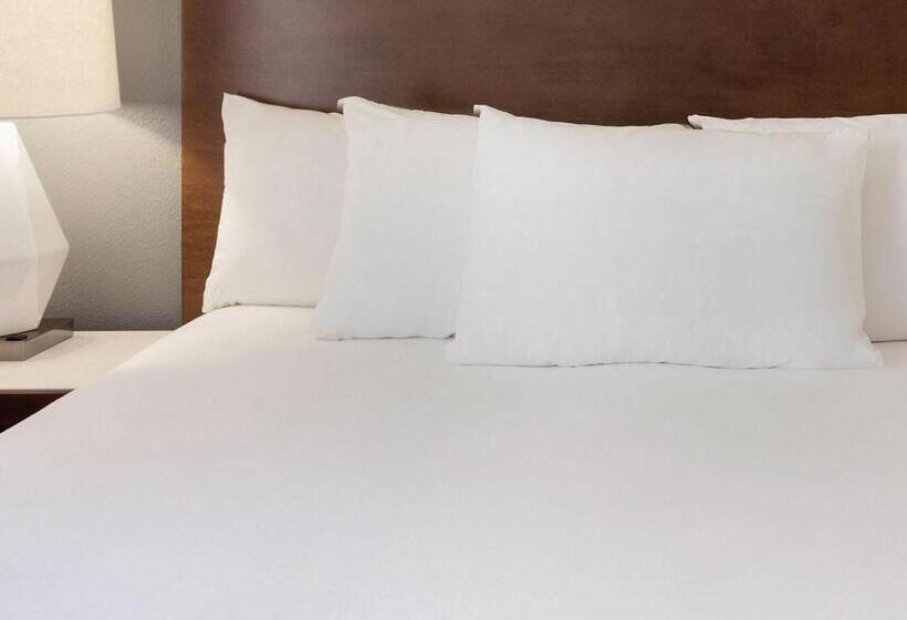 غرفة قياسية سرير كينج, Radisson Hotel Sudbury