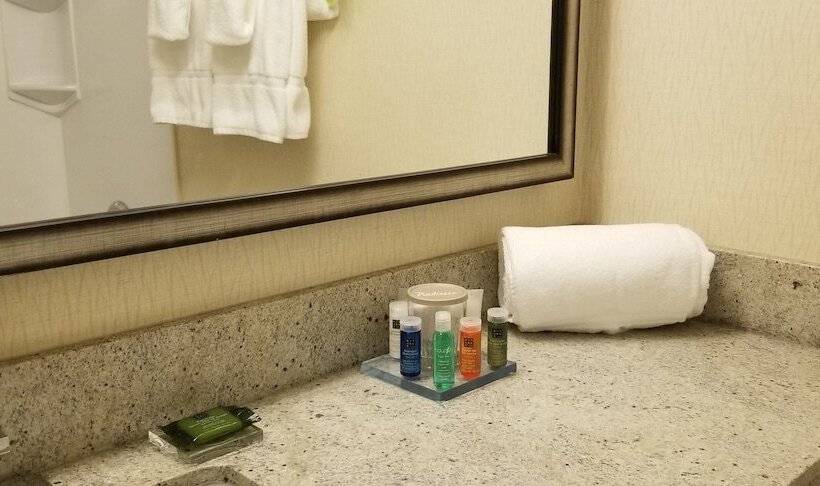 غرفة بريميوم, Radisson Hotel Sudbury