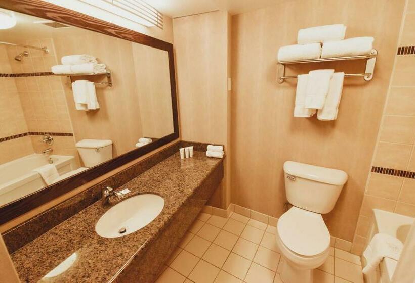 ２ダブルベッドのスタンダードルーム, Radisson Hotel Winnipeg Downtown