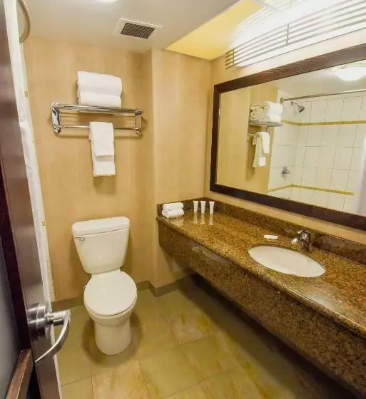 اتاق استاندارد, Radisson Hotel Winnipeg Downtown