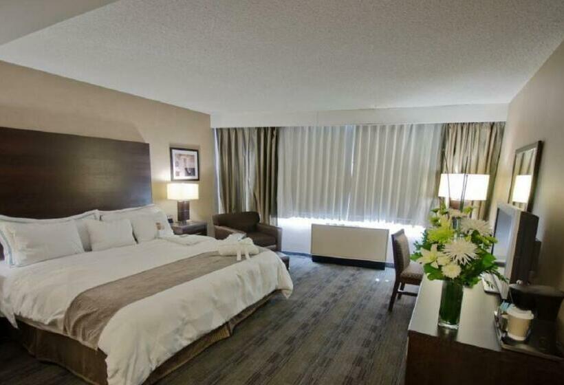 キングサイズベッドのスタンダードルーム, Radisson Hotel Winnipeg Downtown