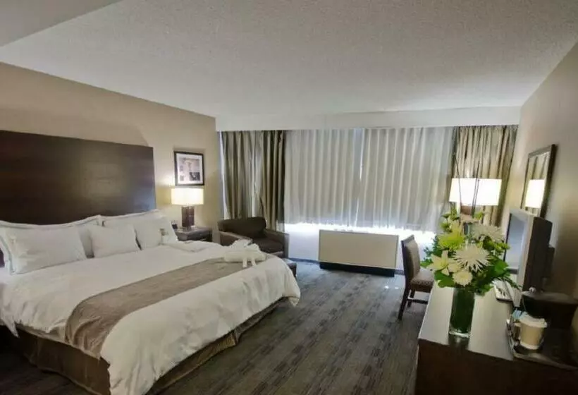 اتاق استاندارد با تخت بزرگ, Radisson Hotel Winnipeg Downtown