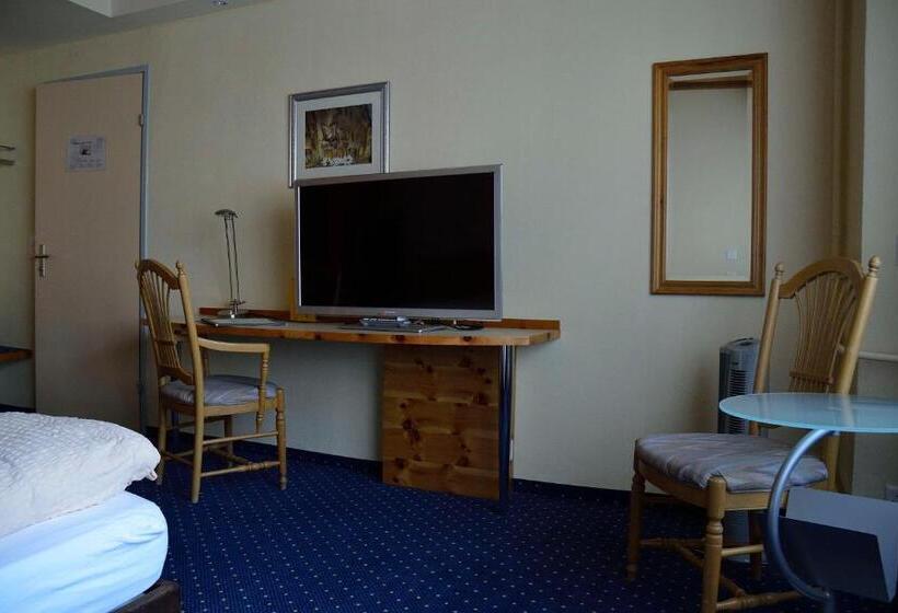 חדר סטנדרט יחיד, Ambiente Hotel Freieck