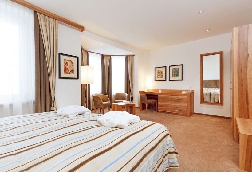 デラックスルーム, Art Boutique Hotel Monopol