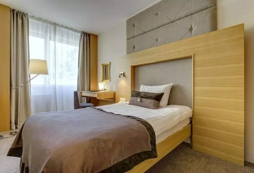 اتاق اکونومی یک تخته, Continental Hotel Lausanne