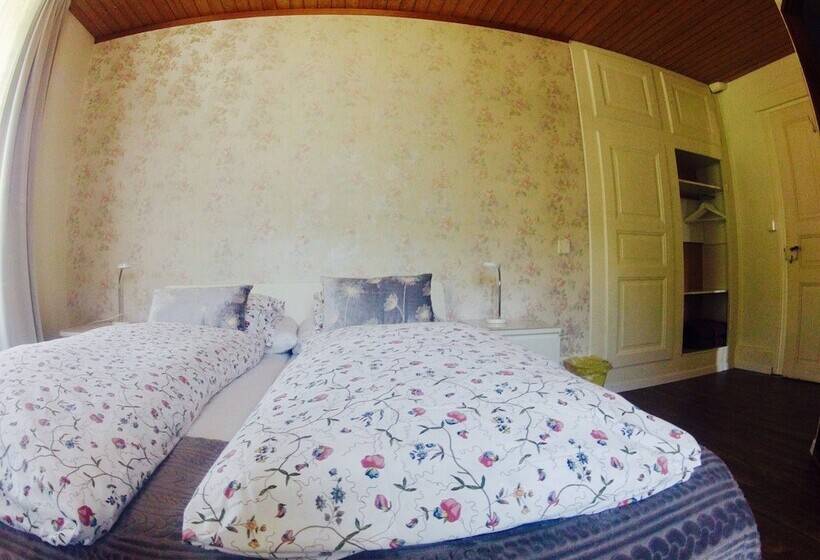 Номер Стандарт, Alpina