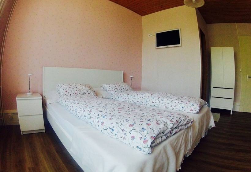 Номер Стандарт, Alpina