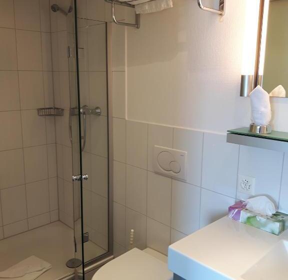 غرفة قياسية مزوَّدة بشُرفة, Central Am See