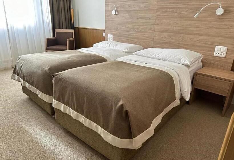 经济房, Continental Hotel Lausanne