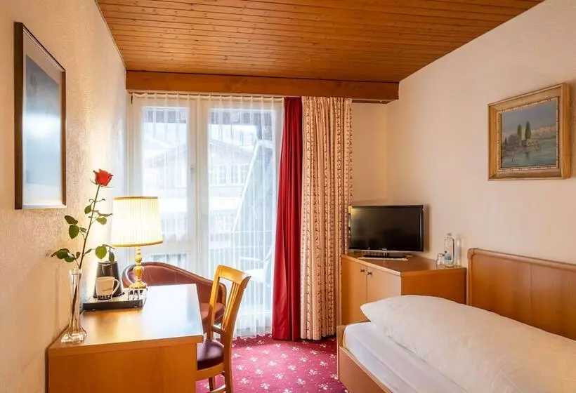 Chambre Standard Individuelle, Gletschergarten