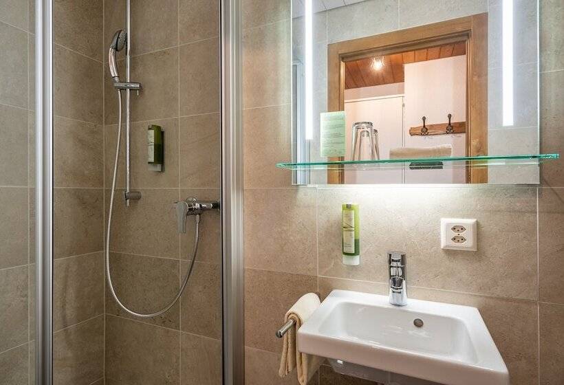 اتاق استاندارد یک نفره, Gletschergarten