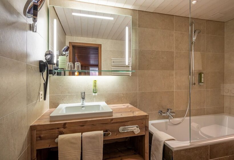 اتاق سوپریور, Gletschergarten