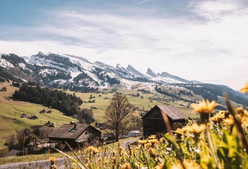 高级单人间, Hirschen Wildhaus