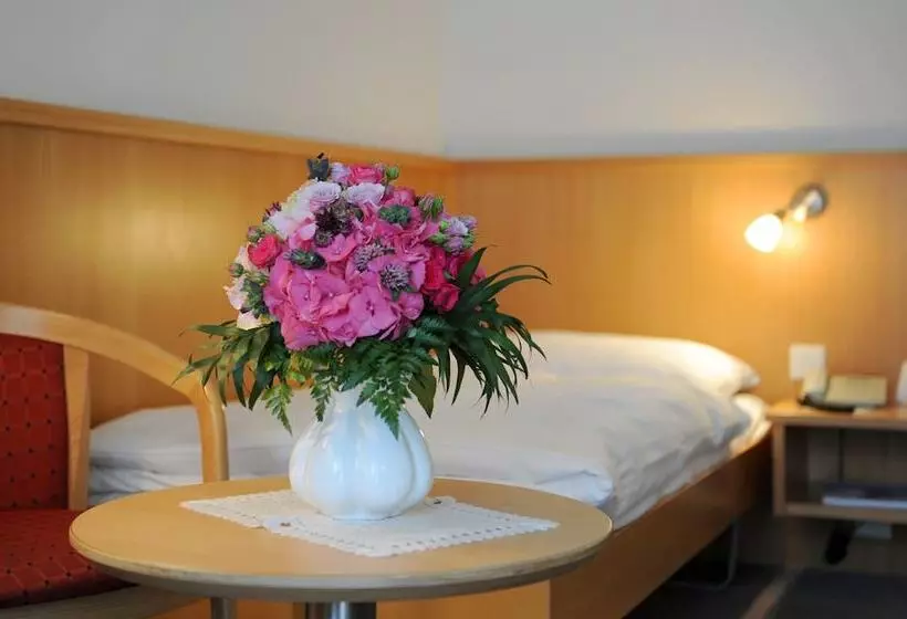 اتاق راحتی یک تخته, Alpine Hotel Perren