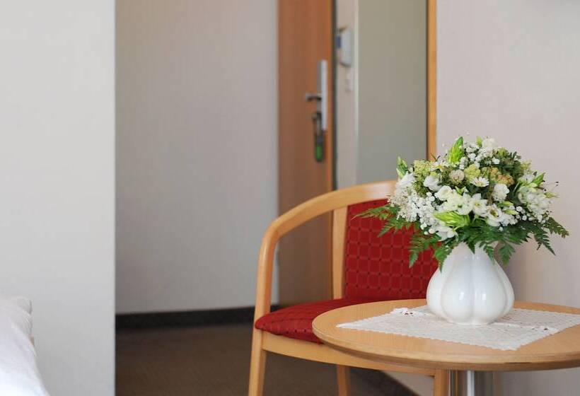 اتاق عادی, Alpine Hotel Perren