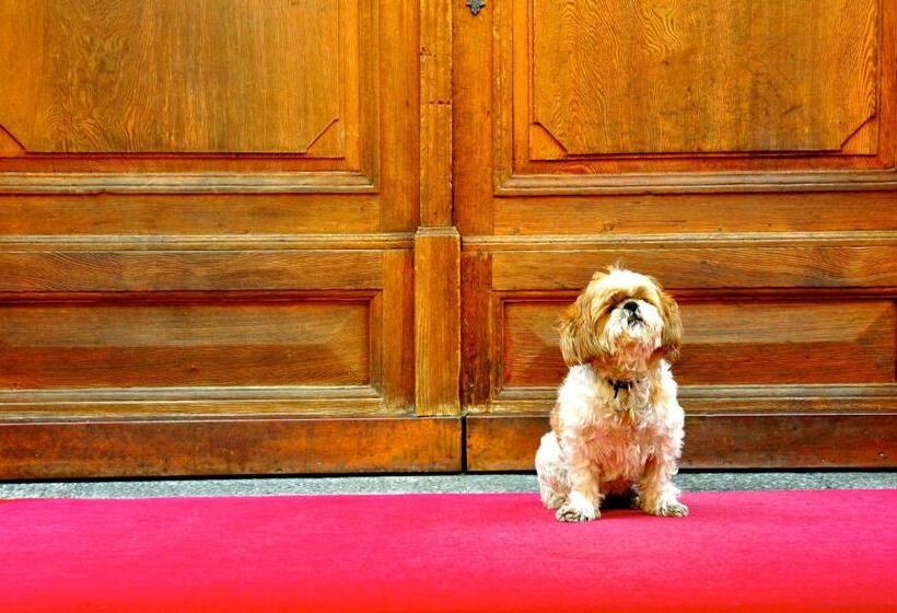 기본룸, Poschiavo Suisse