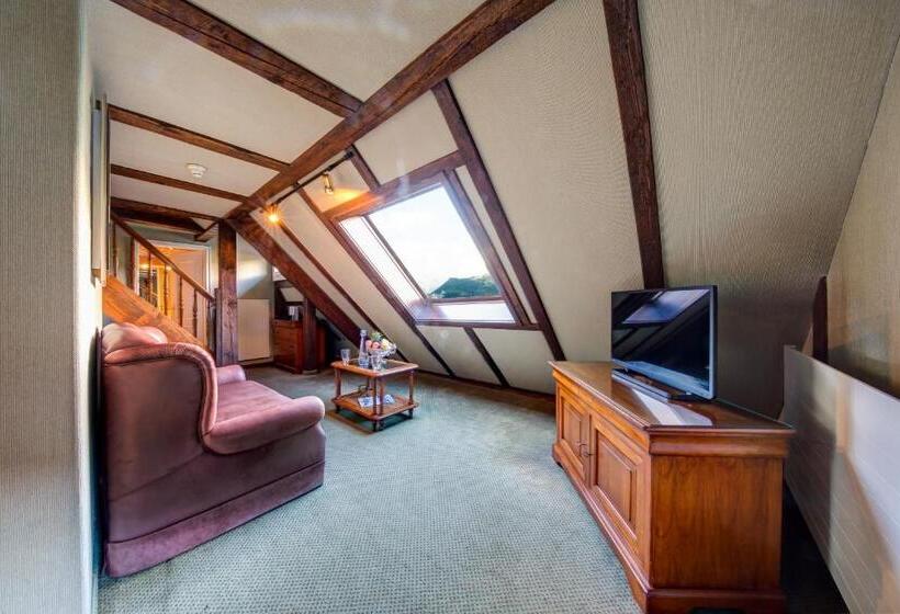 带园景的小型套房, Regina