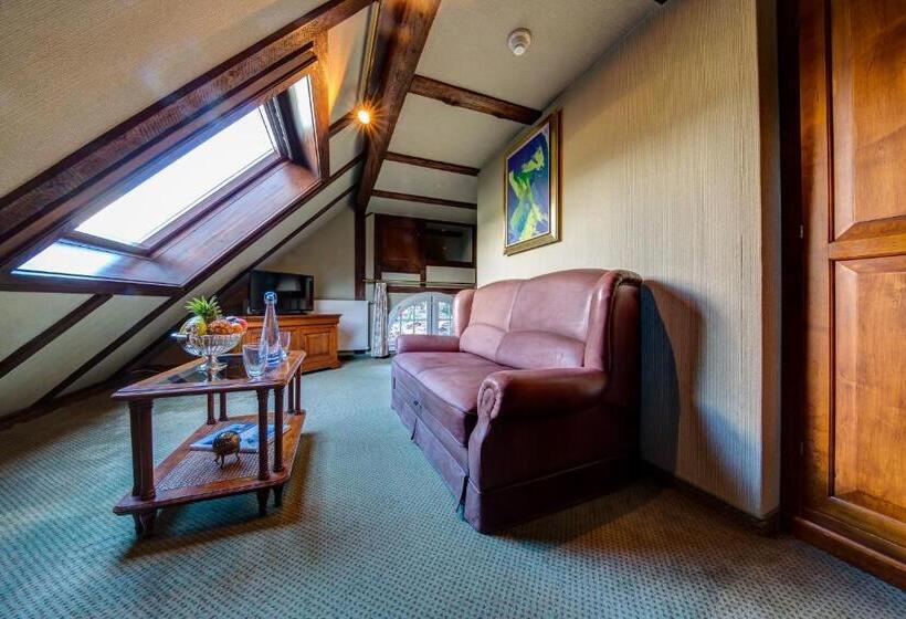 带园景的小型套房, Regina