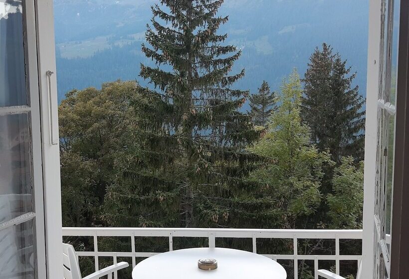 豪华房间, Regina