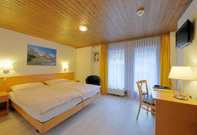 Chambre Standard avec Balcon, Rossli