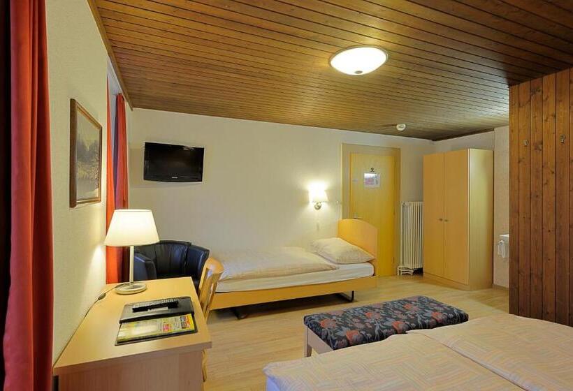 Номер Стандарт Трехместный, Rossli