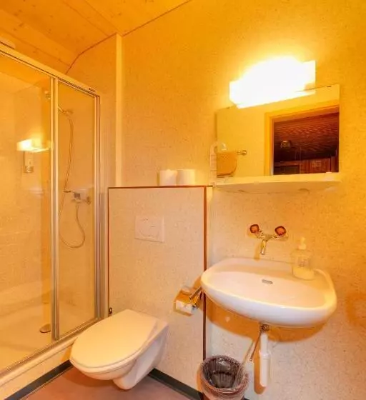 Chambre Economy Salle de Bain Partagée, Rossli
