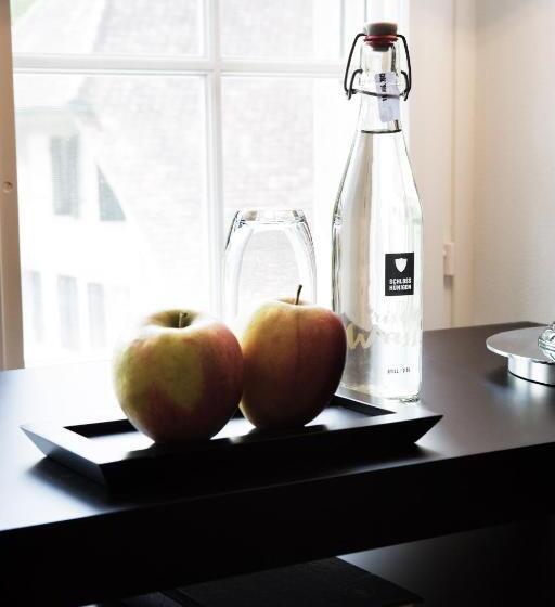 Classic room with balcony, Schloss Hunigen