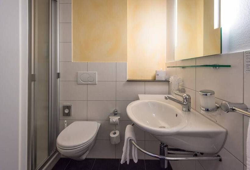 Номер Стандарт Индивидуальный, Parkhotel Gunten – Beach & Spa