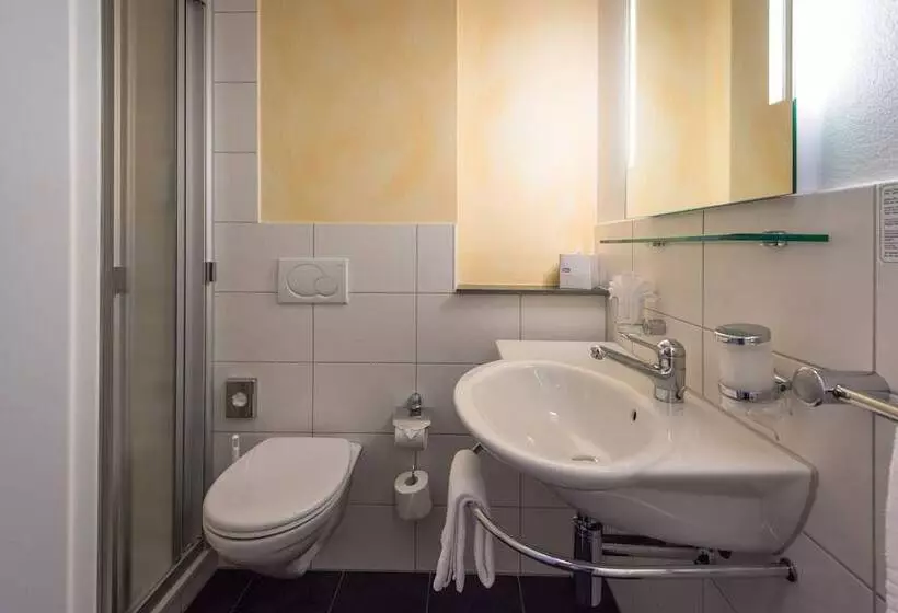 スタンダードシングルルーム, Parkhotel Gunten – Beach & Spa
