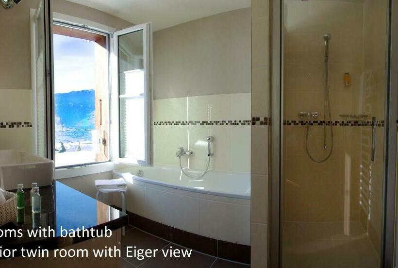 带观景的高级间, Romantik Hotel Schweizerhof