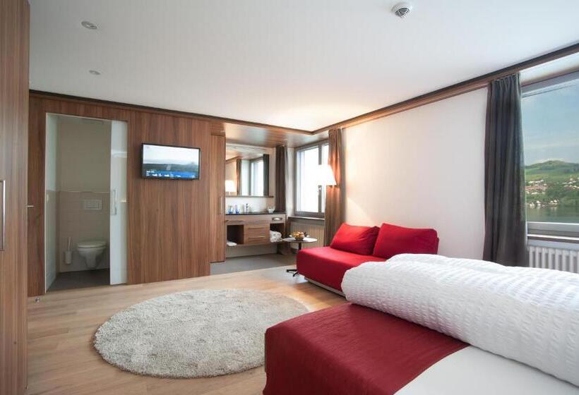 标准间带湖景, Seehotel Delphin