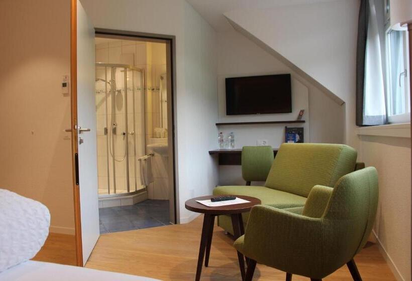 غرفة قياسية, Seehotel Delphin