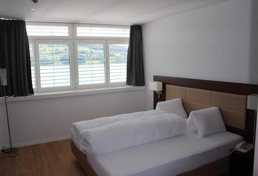 غرفة قياسية, Seehotel Delphin