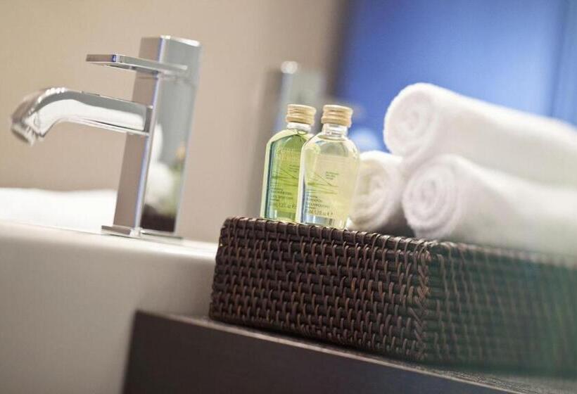 غرفة قياسية مطلّة علي البحيرة, Seehotel Sternen