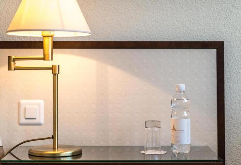 غرفة قياسية مطلّة علي البحيرة, Seehotel Sternen