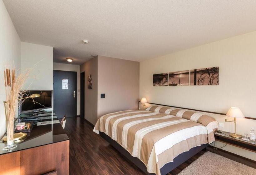 غرفة قياسية مطلّة علي البحيرة, Seehotel Sternen