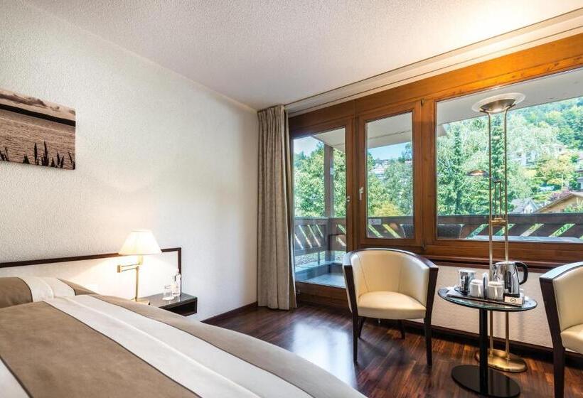 غرفة قياسية مطلة على المدينة, Seehotel Sternen