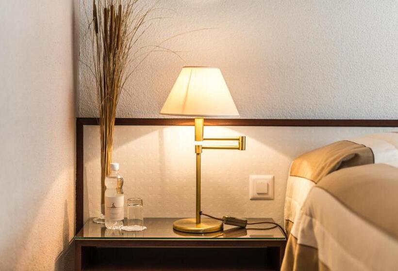 غرفة قياسية مطلة على المدينة, Seehotel Sternen