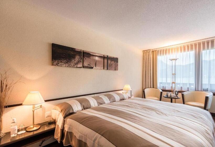 غرفة قياسية مطلة على المدينة, Seehotel Sternen