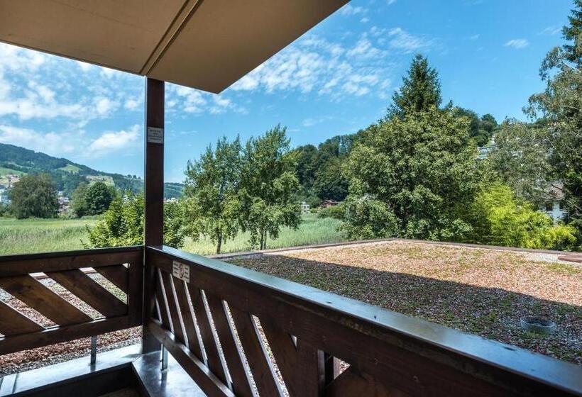 غرفة قياسية فردية مطلة على المدينة, Seehotel Sternen