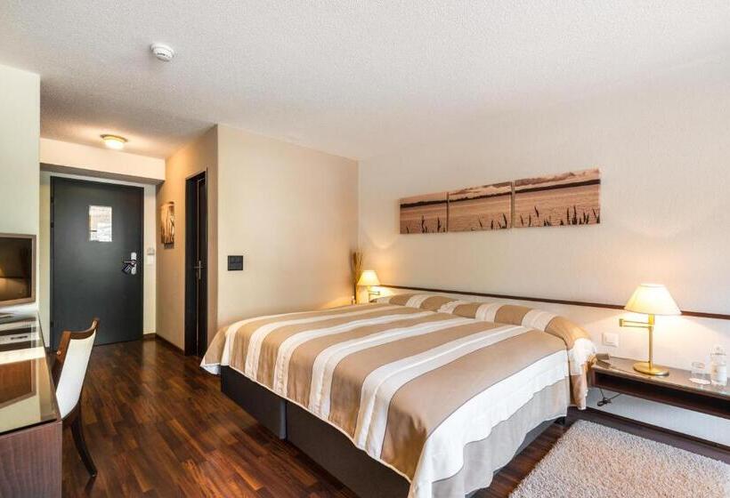 غرفة قياسية فردية مطلة على المدينة, Seehotel Sternen