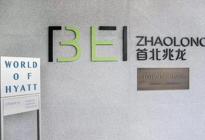Standard-huone King-vuode, Bei Zhaolong Hotel, Jdv By Hyatt