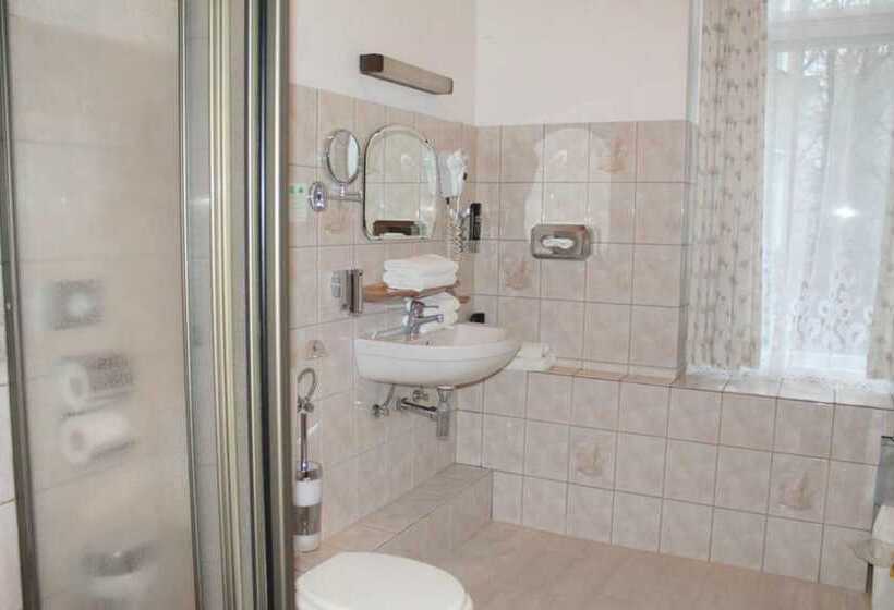 اتاق استاندارد یک تخته با سرویس بهداشتی مشترک, Pension Margrit