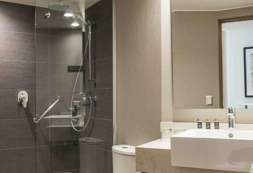 غرفة ديلوكس مطلة على المدينة, Pullman Vina Del Mar San Martín