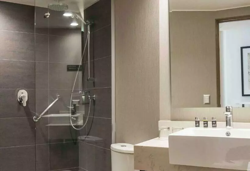 اتاق لوکس با چشم‌انداز شهر, Pullman Vina Del Mar San Martín