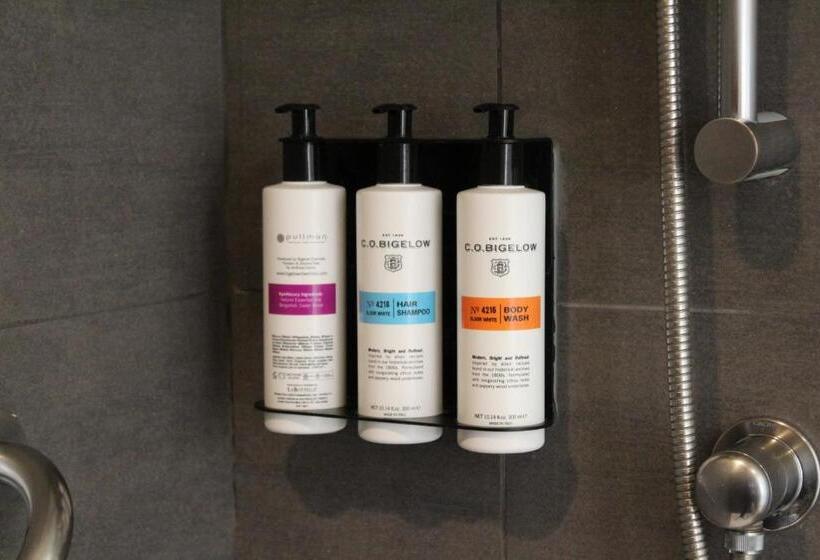 غرفة بريميوم, Pullman Vina Del Mar San Martín